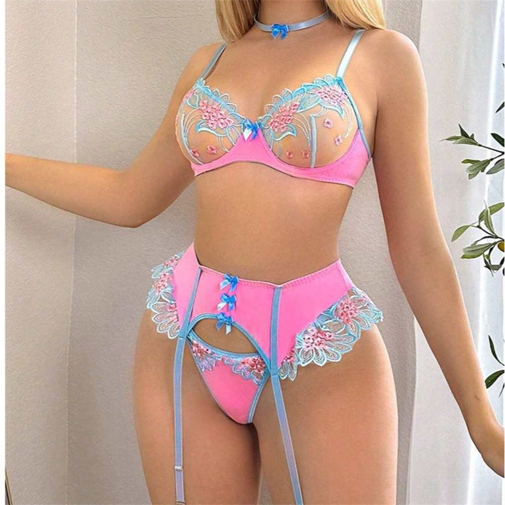 Sexy Fancy Lingerie Transparen - Garter Belt Set recension och pris